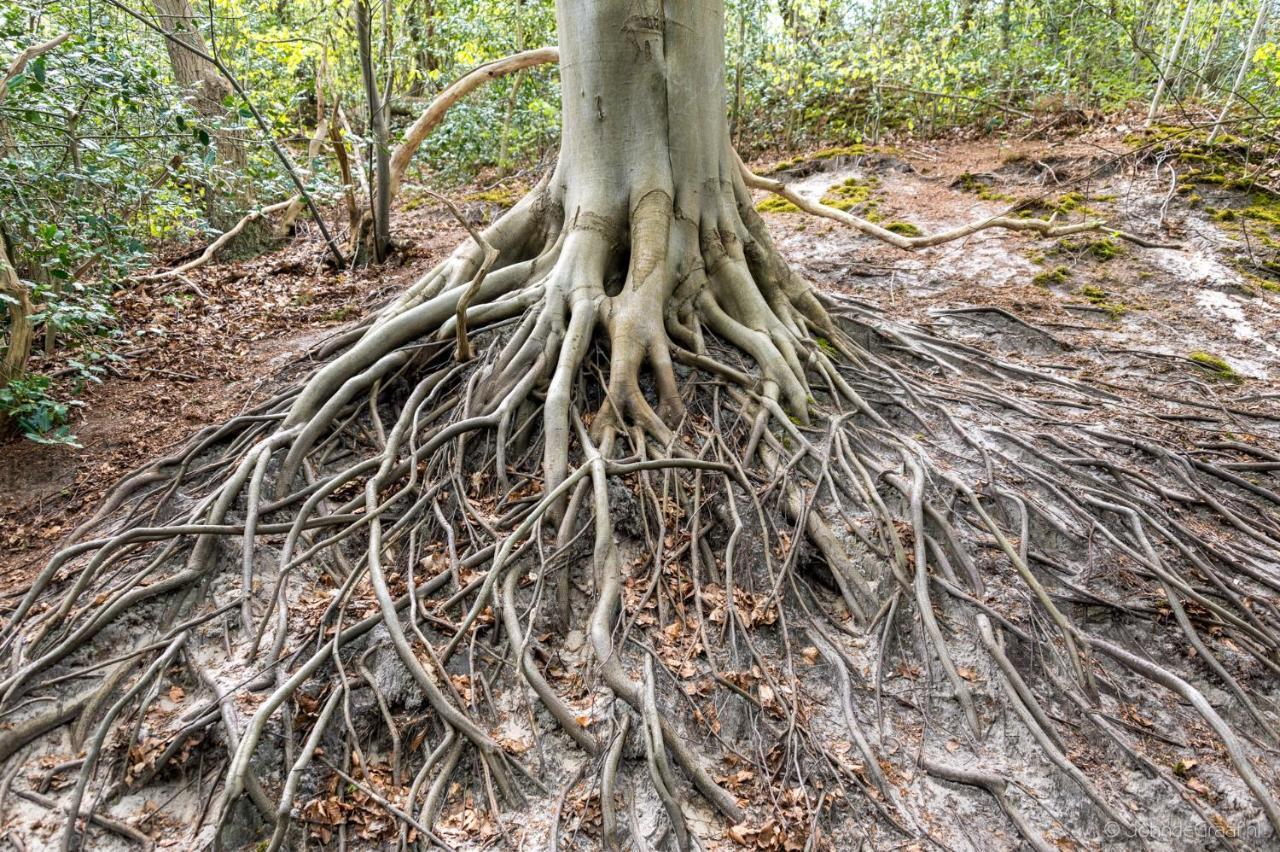 Groot Marquette - Noord Holland aan uw voeten Warmenhuizen Buitenkant foto